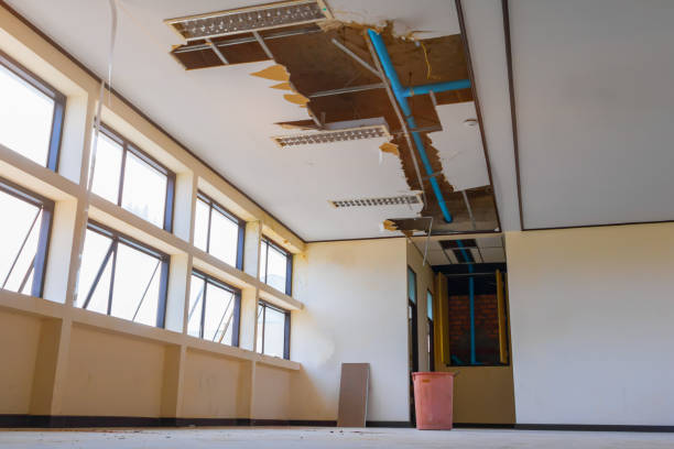 Best Water damage restoration near me  in Lansing, MI