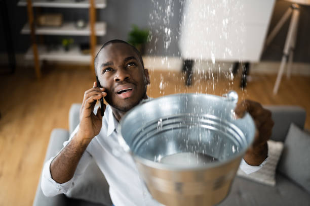 Best Basement water damage restoration  in Lansing, MI