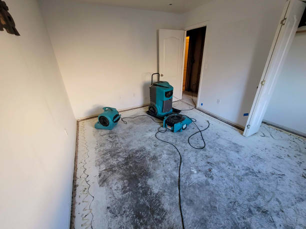 Best Residential water damage restoration  in Lansing, MI