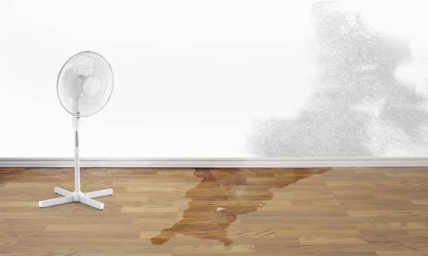 Best Water damage cleanup near me  in Lansing, MI