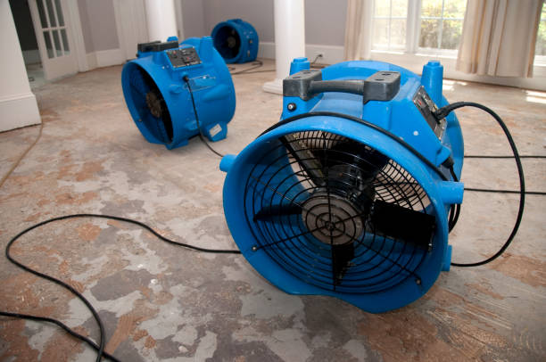 Best Local water damage restoration  in Lansing, MI