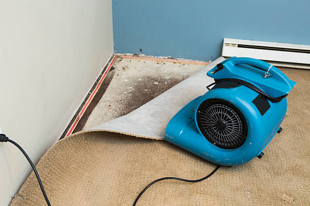 Best Professional water damage repair  in Lansing, MI